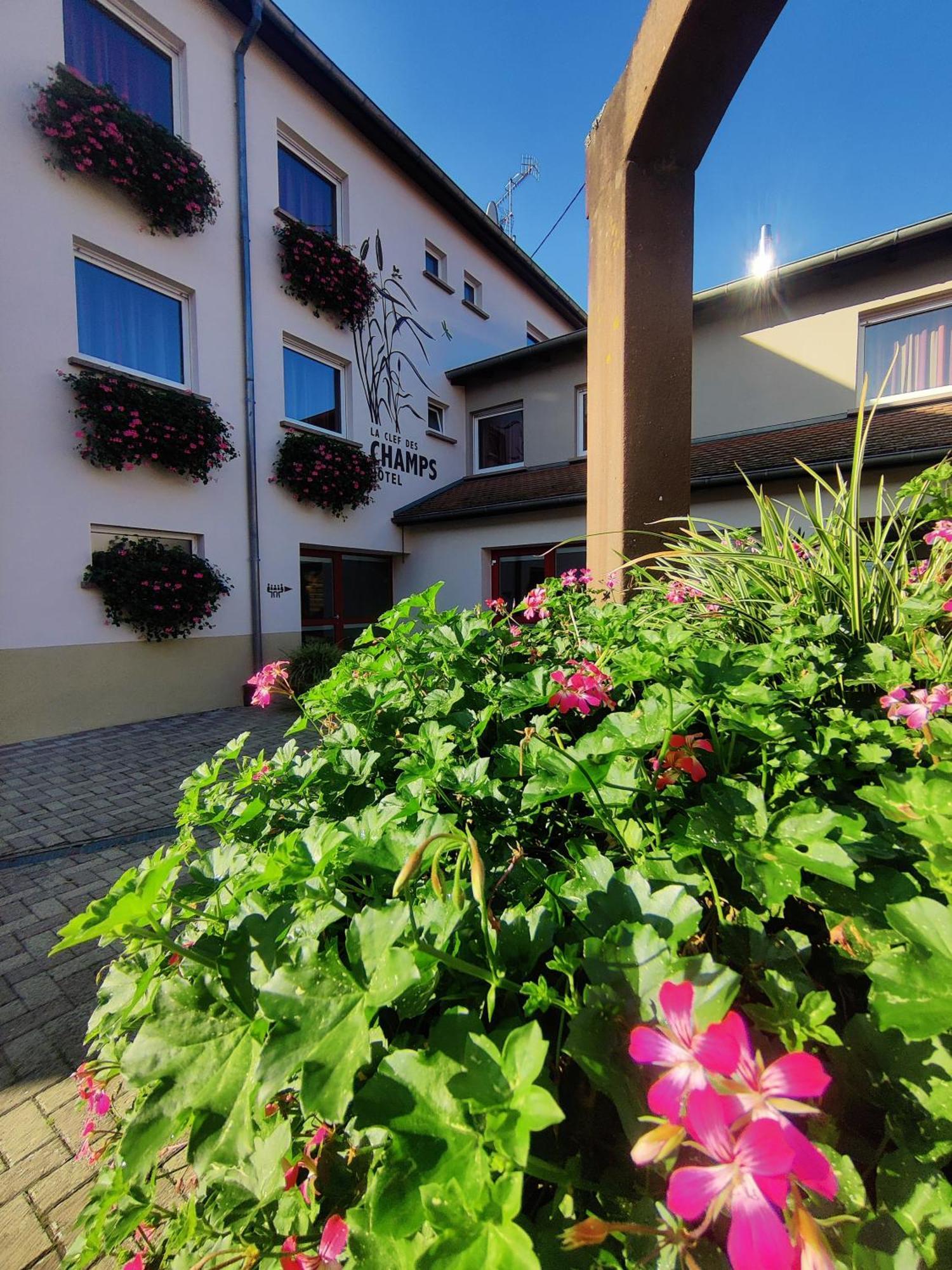 Hotel La Clef Des Champs - Proche Colmar 2*